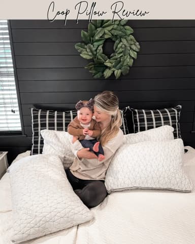 Cover photo from Chloe's Coop pillow review